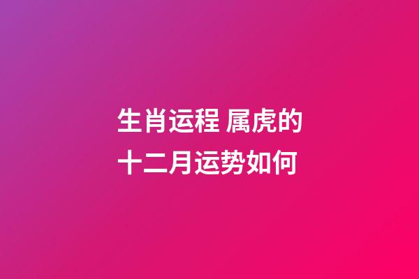 生肖运程 属虎的十二月运势如何